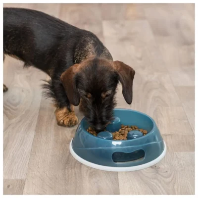 GAMELA "SLOW FEED" EM PLÁSTICO