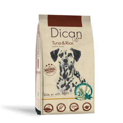 Dican Up Atum e Arroz