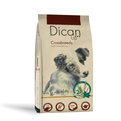 Dican Up Crossbreeds (Adulto)